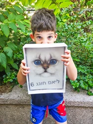 עוגת גן מיני