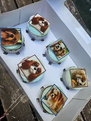 הכלב חברו הטוב של האדם